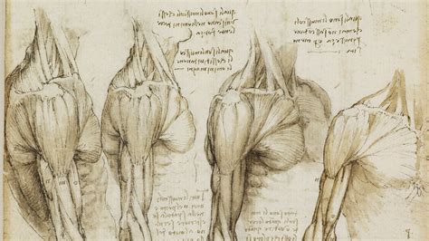   Artistic Anatomy -  A Journey Through the Renaissance Body and its Profound Beauty!